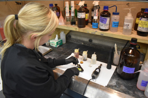 DNA workstation, image 6